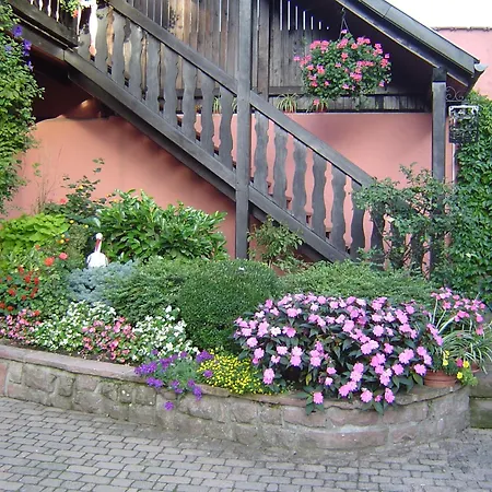 Gite Weyer Numero 2 Bergheim Exterior photo